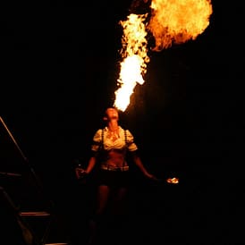 Lilly-Sue-Crazy-Chicks (11)