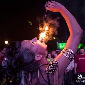 Lilly-Sue-Crazy-Chicks (13)