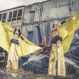 Lilly-Sue-Crazy-Chicks (9)