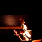 Sabrina Feuer Shows (6)