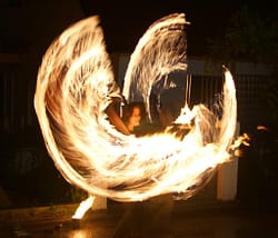SONY DSC