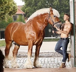 Stripper-Jules-Hannover (6)