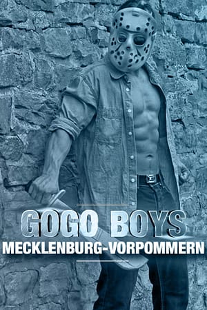 gogo boys meckpomm grau