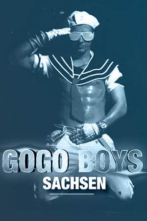 gogo boys sachsen grau