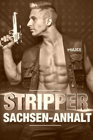 stripper-sachanhalt-grau-vintage