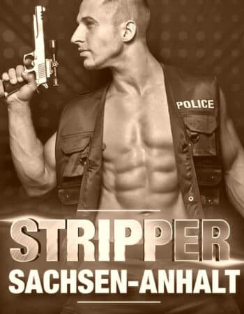 stripper-sachanhalt-grau-vintage stripper-sachanhalt-grau-vintage