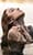 img-20230509-wa0016