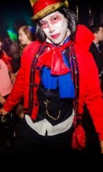 Jaybi Hamburg - Gogo Tänzer